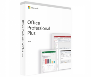 microsoft office 2019 professional plus (pc)