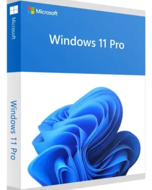 windows 11 professional retail